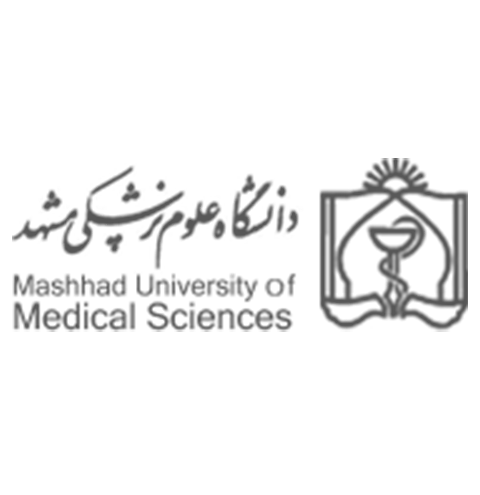 mashhad